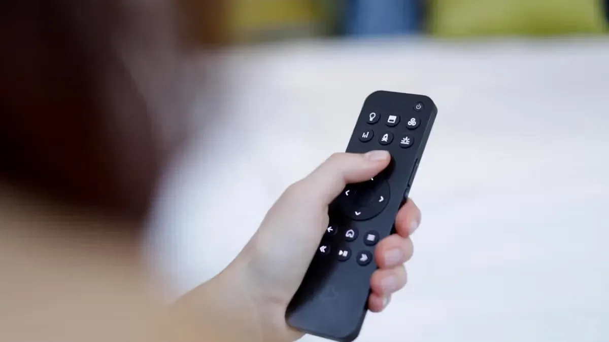 A hand holding a simple remote control